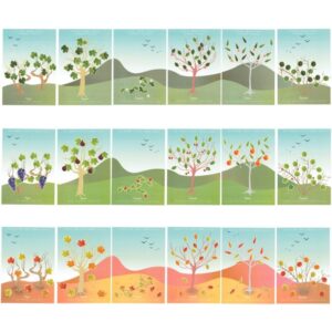 Pochette de 576 gommettes évolution des 4 saisons repositionnables
