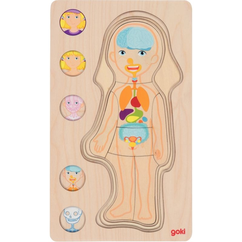 Puzzle 5 niveaux le corps humain, fille