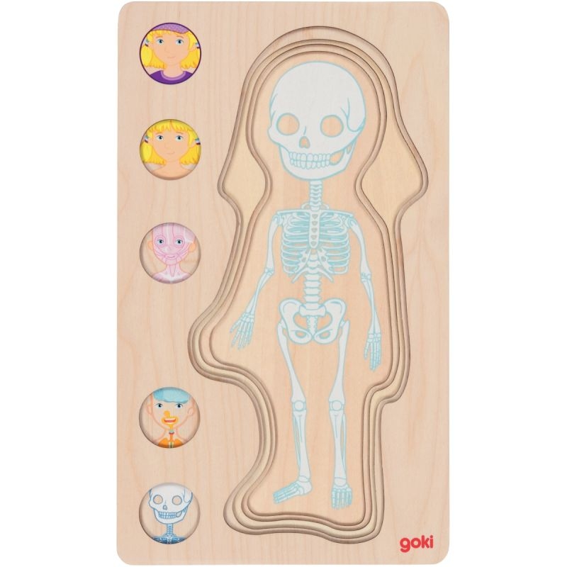 Puzzle 5 niveaux le corps humain, fille