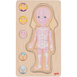 Puzzle 5 niveaux le corps humain, fille
