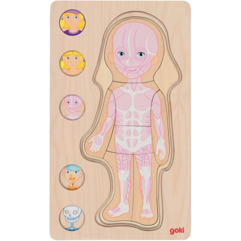 Puzzle 5 niveaux le corps humain, fille