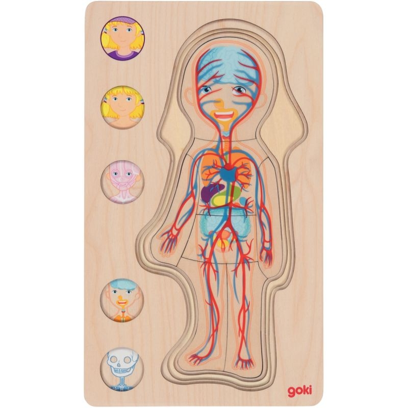 Puzzle 5 niveaux le corps humain, fille