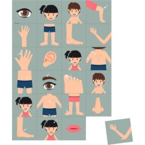 Tapis diamètre 200cm le corps humain