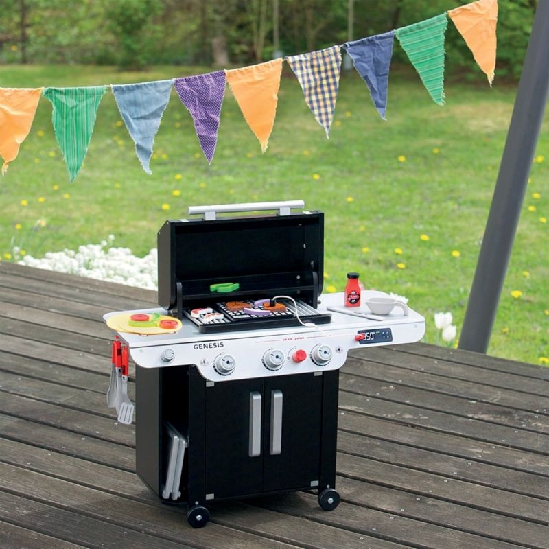 Barbecue WEBER en bois