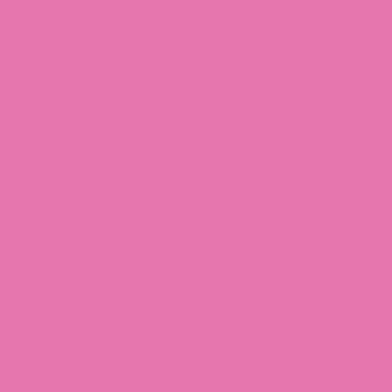 Blister de 12 marqueurs permanent Sharpie Glam Pop