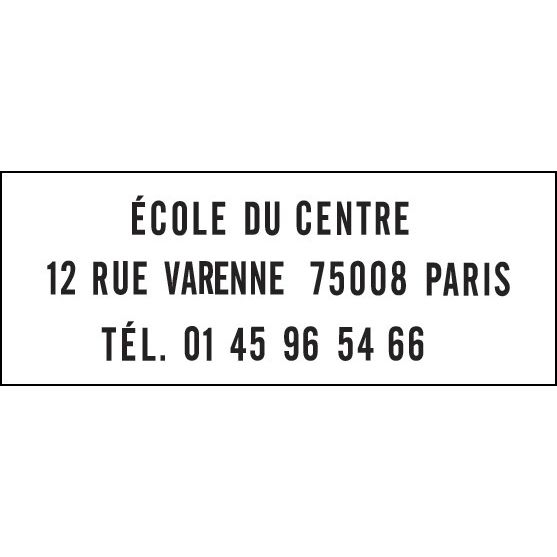 Blister de 2 cassettes  6/4912 encre noir