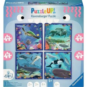 Boite de 4 puzzles UP progressifs, les animaux marins