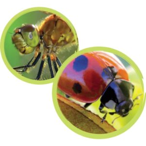 Boite loupe diamètre 6.5cm