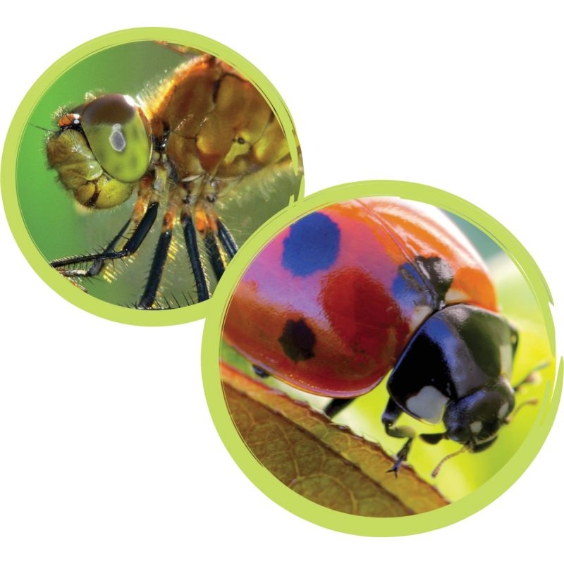 Boite loupe diamètre 6.5cm