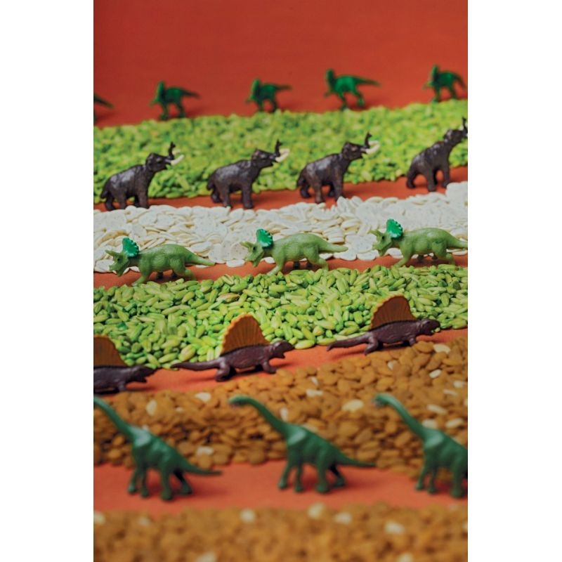 Bouteille sensorielle PETIT BOUM, jurassique