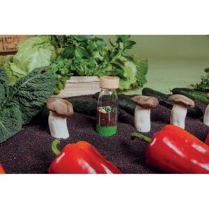 Bouteille sensorielle PETIT BOUM, légumes