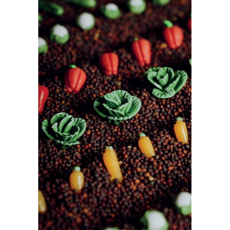 Bouteille sensorielle PETIT BOUM, légumes