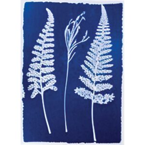 kit pack atelier cyanotype