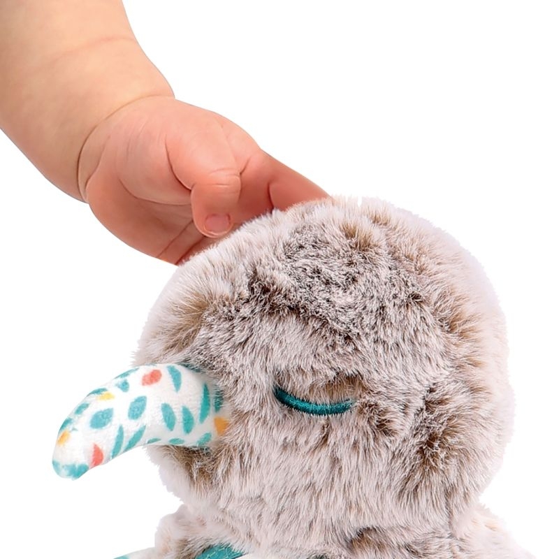 Kiwi Câlin lesté avec miroir