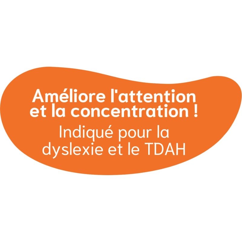 Lot de 30 guides de lecture