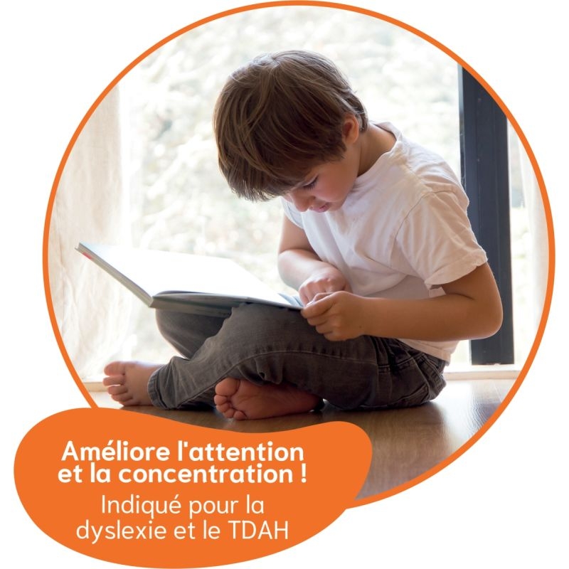 Lot de 30 guides de lecture