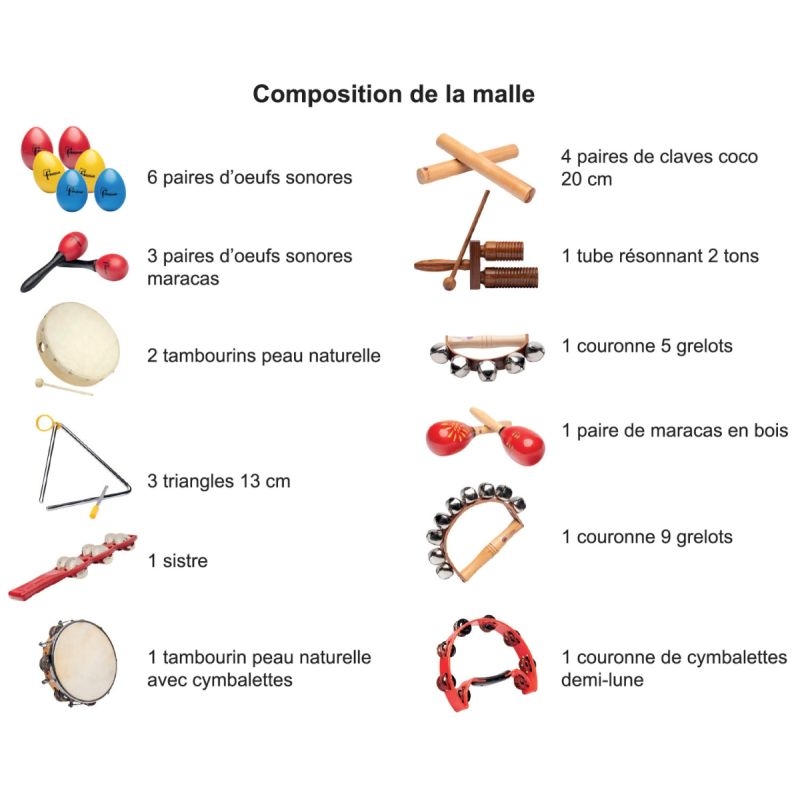 Malle de 25 instruments des apprentis musiciens