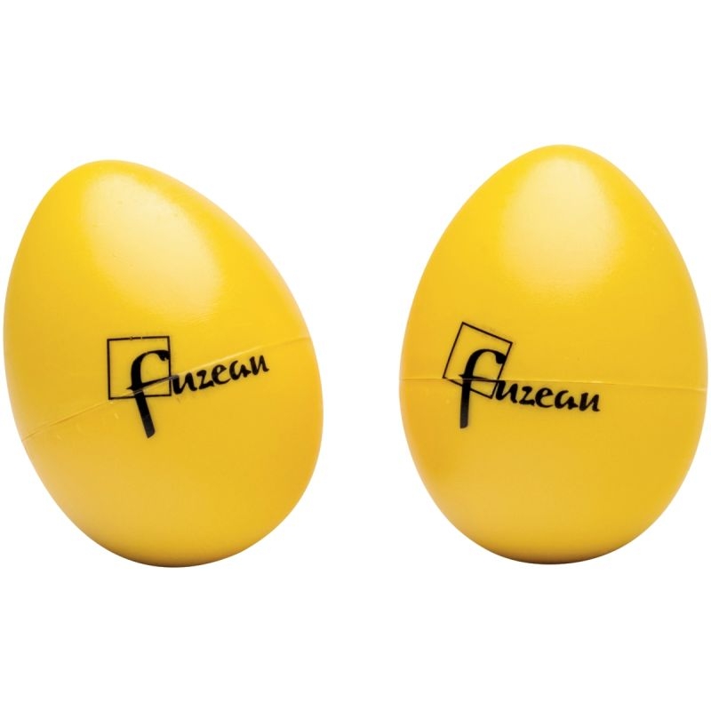 Malle de 25 instruments des apprentis musiciens