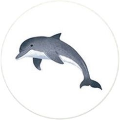 Pack de 4 rouleaux maxi gommettes animaux adhésifs permanents