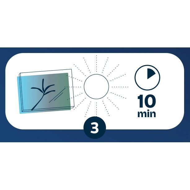 Paquet de 30 feuilles de recharge pour cyanotype format A4