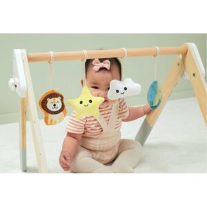 Portique d’activités en bois