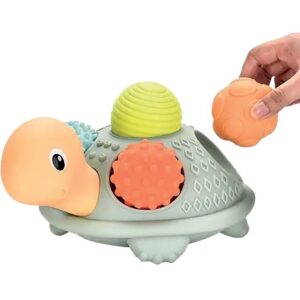 Tortue + 5 balles sensorielles assorties
